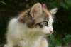 img_6291_small.jpg