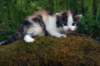 img_2628_small.jpg