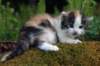 img_2638_small.jpg