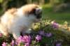 img_2767_small.jpg