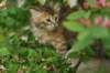 img_4118_small.jpg
