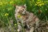 img_4134_small.jpg