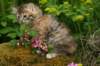 img_4142_small.jpg