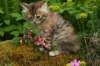 img_4144_small.jpg