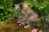img_4150_small.jpg
