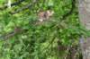 img_6103_small.jpg