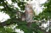img_6104_small.jpg
