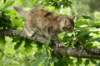 img_6113_small.jpg