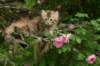img_6131_small.jpg