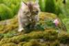 img_6212_small.jpg