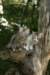 img_8063_small.jpg