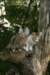 img_8064_small.jpg