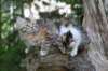 img_8077_small.jpg