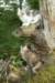 img_8146_small.jpg