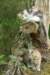 img_8172_small.jpg