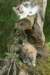 img_8174_small.jpg