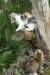 img_8184_small.jpg