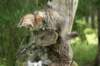 img_8202_small.jpg