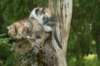 img_8213_small.jpg
