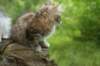 img_8244_small.jpg
