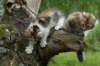 img_8263_small.jpg