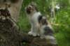 img_8303_small.jpg
