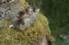 img_2439_small.jpg