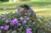 img_2524_small.jpg