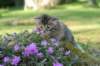 img_2526_small.jpg