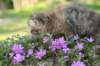img_2546_small.jpg