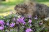 img_2551_small.jpg