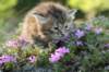 img_2615_small.jpg
