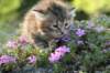 img_2616_small.jpg