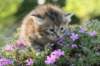 img_2617_small.jpg
