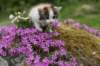img_3376_small.jpg