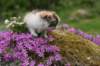 img_3377_small.jpg