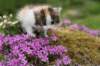 img_3378_small.jpg