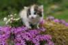 img_3379_small.jpg