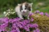 img_3380_small.jpg