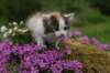 img_3382_small.jpg