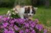 img_3383_small.jpg