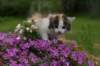 img_3384_small.jpg