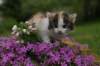 img_3387_small.jpg