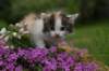 img_3388_small.jpg