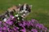 img_3389_small.jpg