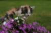 img_3391_small.jpg