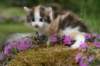 img_3402_small.jpg
