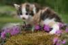 img_3403_small.jpg
