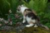 img_4844_small.jpg