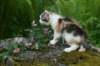 img_4847_small.jpg
